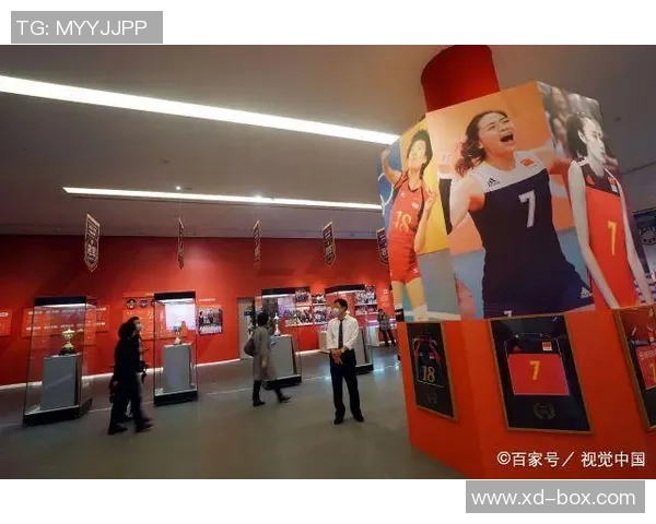 武汉排球队勇闯世界锦标赛的辉煌历程与背后故事揭秘